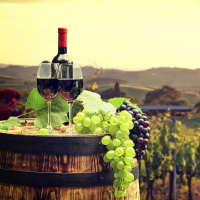 Borászat/Pincészet adatbázis