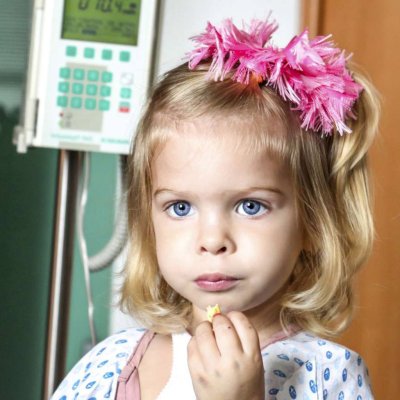 Civil szervezet adatbázis